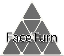 Face Turn Octahedron TORIBOステッカー