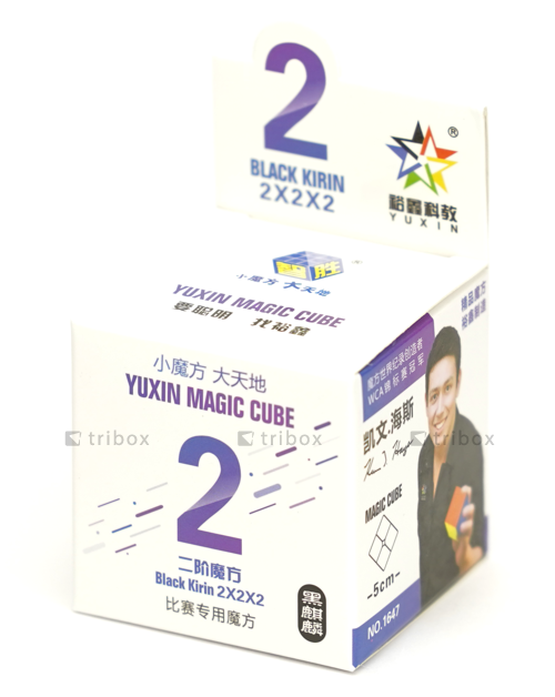 YuXin Black Kirin 2x2x2 Stickerless