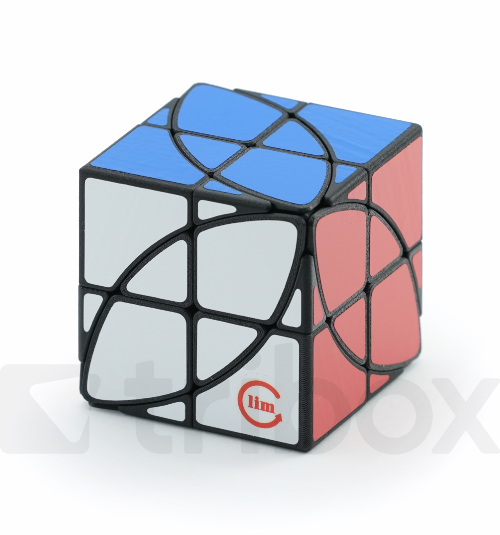 FangShi LimCube 2x2x2+Maple Leaves Cube