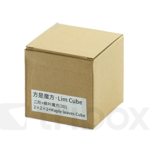 FangShi LimCube 2x2x2+Maple Leaves Cube