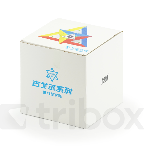 DianSheng Googol Pyraminx M 19.5cm