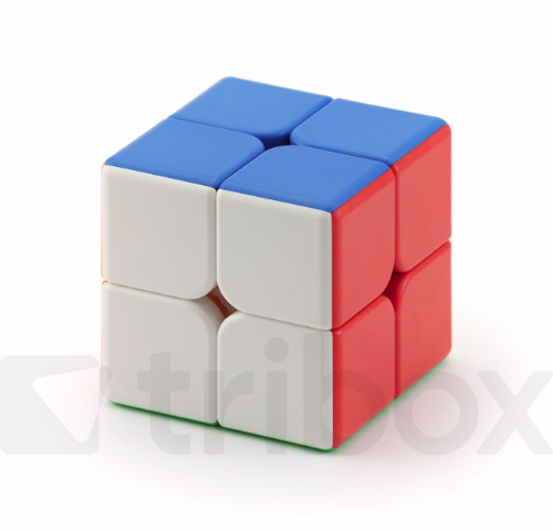 Cubing Classroom 9cm 2x2x2
