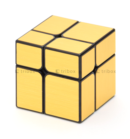 Level25 Cubo 2x2x2 Mirror Cube 2x2 Argento Regalo Originale
